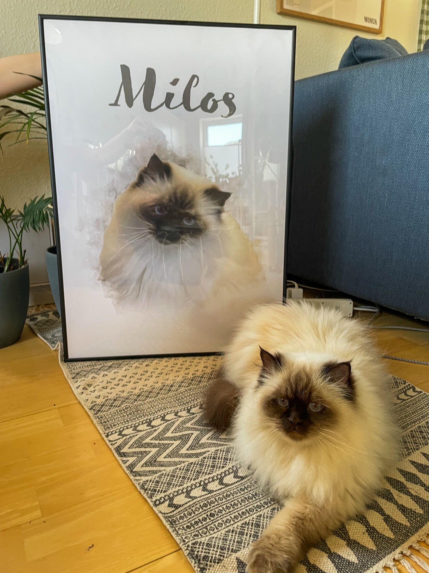 Få katten din foreviget i et delikat digitalt akvarellportrett,